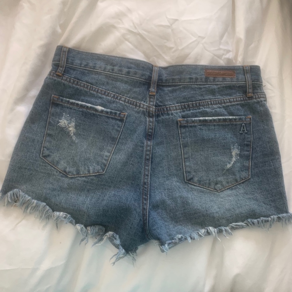 Articles of society shorts